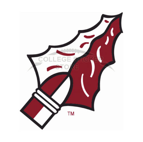 Design Florida State Seminoles Iron-on Transfers (Wall Stickers)NO.4395